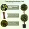 Green Artificial Topiary Trees Set of 2 with Birch Wood Trunk and Moss Base